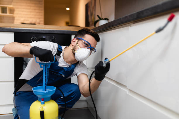 Best Pest Removal Services  in Woodsboro, MD