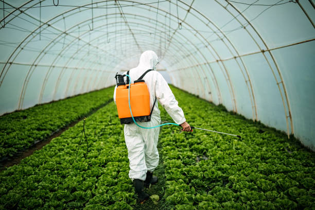 Best Mosquito Control Services  in Woodsboro, MD