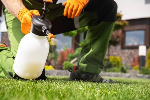 Best Pest Prevention Services  in Woodsboro, MD
