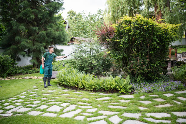 Best Affordable Pest Control Services  in Woodsboro, MD