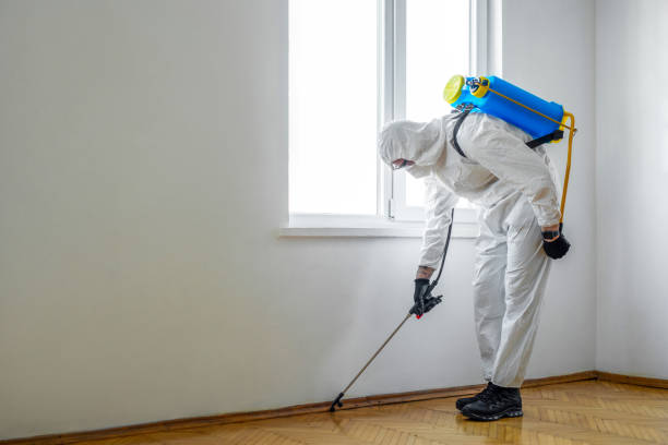 Best Best Pest Control Companies  in Woodsboro, MD