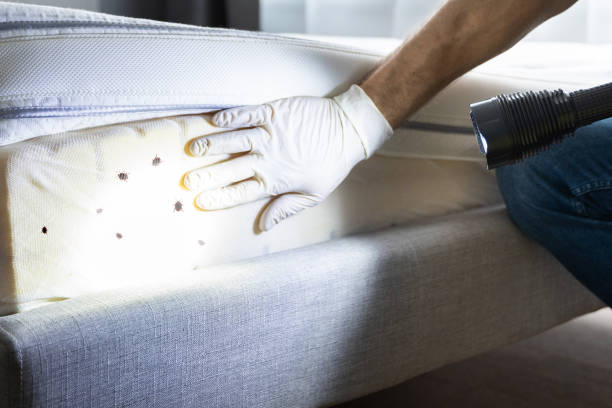 Best Rat Extermination Near Me  in Woodsboro, MD