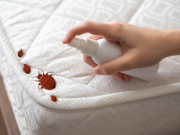 Professional Pest Control in Woodsboro, MD